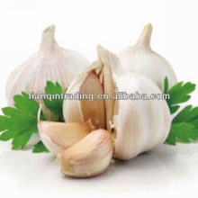 new fresh garlic from China